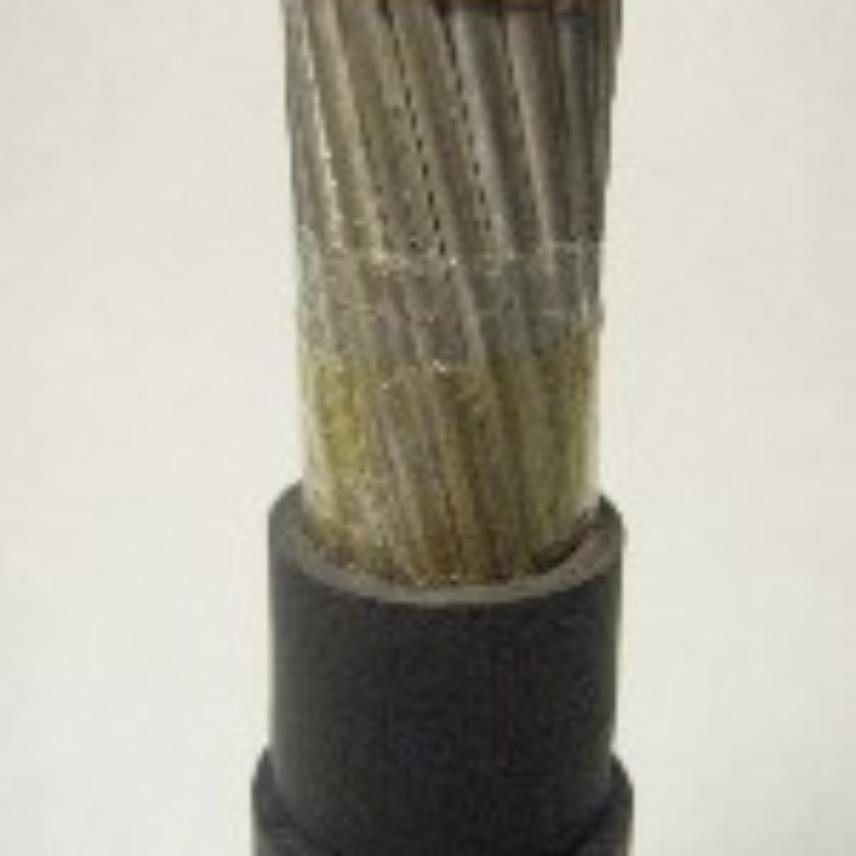 SINGLE CORE COPPER CABLE- DEH