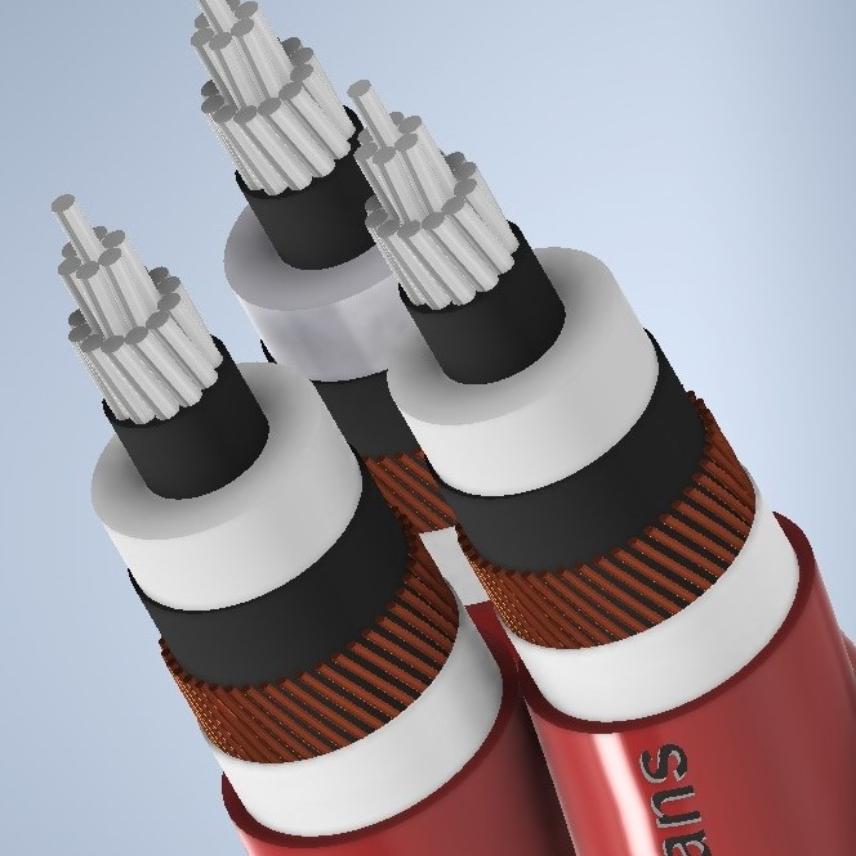 AL/XLPE/CWS/PE 6.35/11KV 3X1X300/50 C