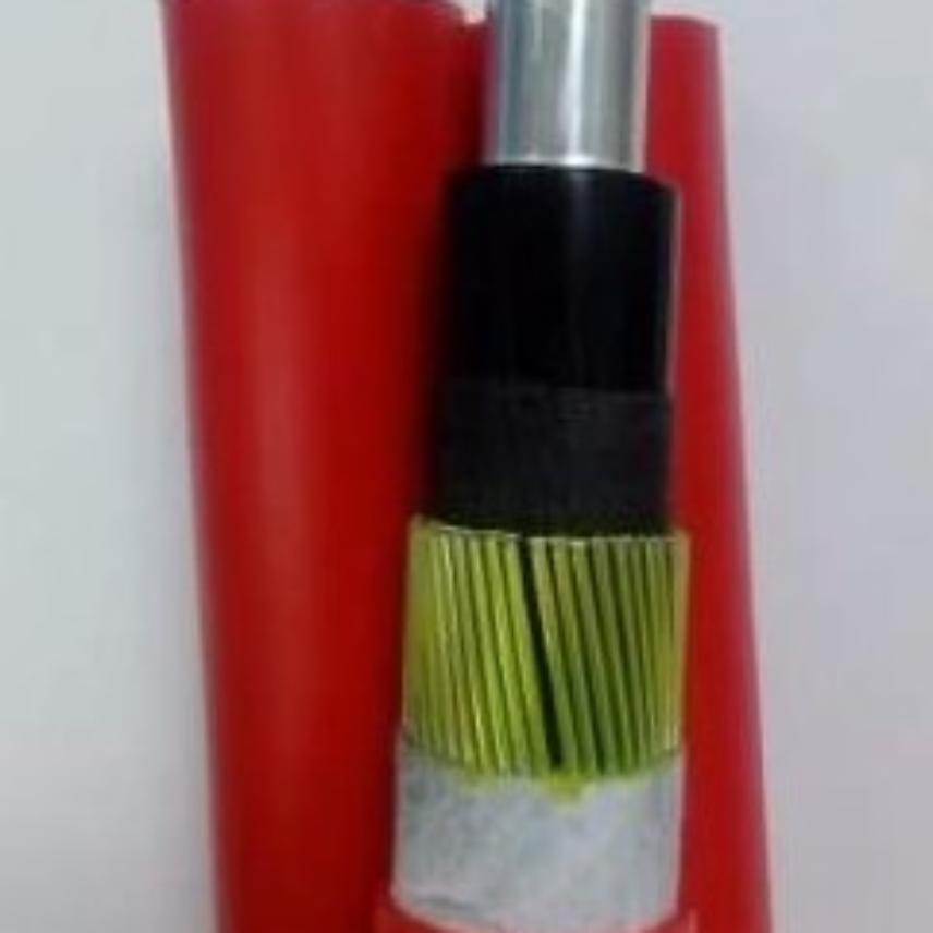 AL/XLPE/CWS/PE 6.35/11KV 3X1X300/70 U